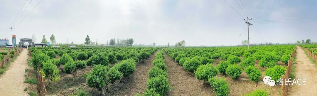 植保無人機比賽場地